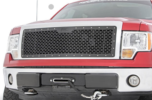 MESH GRILLE FORD F-150 2WD/4WD (2009-2014)