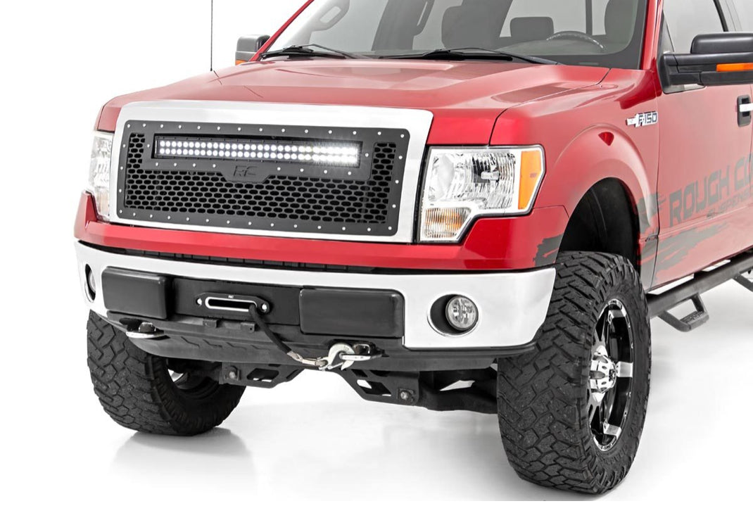 MESH GRILLE FORD F-150 2WD/4WD (09-14)