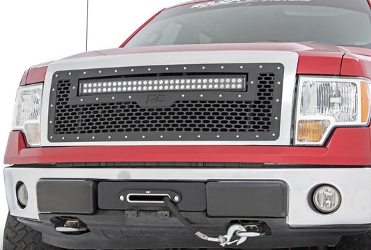 MESH GRILLE FORD F-150 2WD/4WD (09-14)