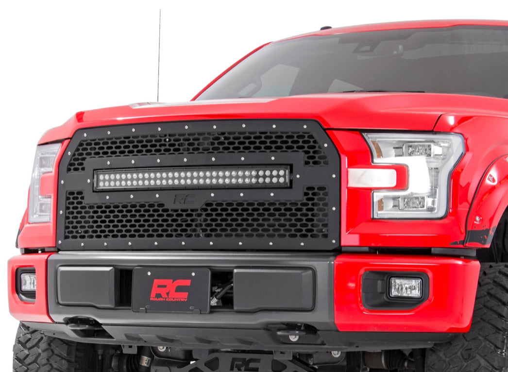 MESH GRILLE FORD F-150 2WD/4WD (15-17)