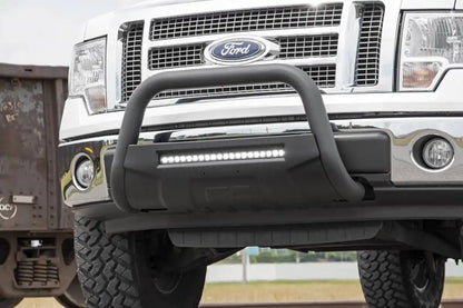 BLACK LED BULL BAR FORD EXPEDITION (03-23)/F-150 (04-23) 2WD/4WD